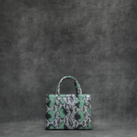 SST Classic Silver Green Snake Embossed Leather